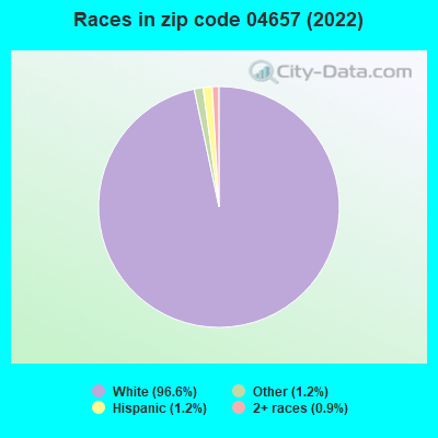 Races in zip code 04657 (2022)