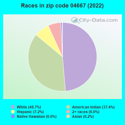 Races in zip code 04667 (2022)