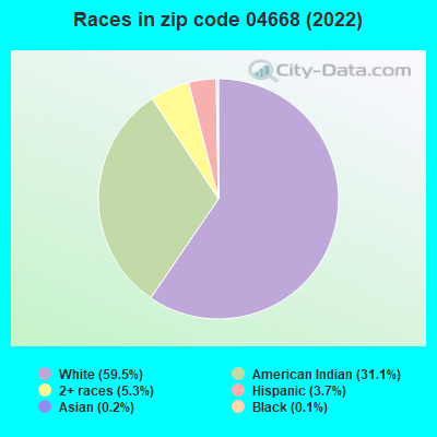 Races in zip code 04668 (2022)