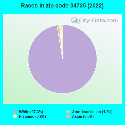 Races in zip code 04735 (2022)