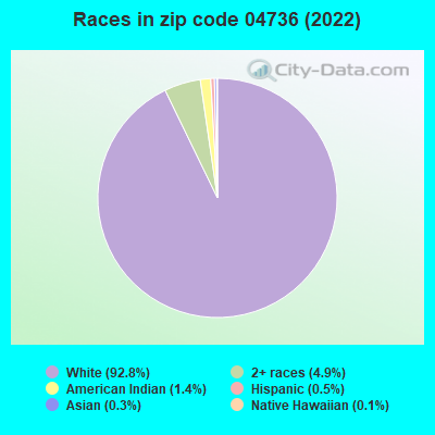 Races in zip code 04736 (2022)