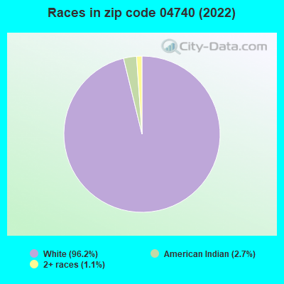 Races in zip code 04740 (2022)
