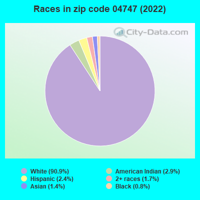 Races in zip code 04747 (2022)