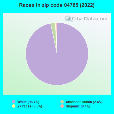 Races in zip code 04765 (2022)