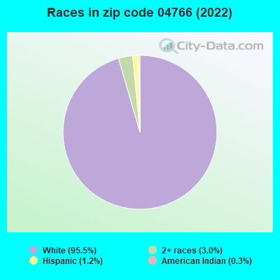 Races in zip code 04766 (2022)