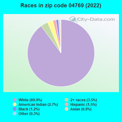 Races in zip code 04769 (2022)