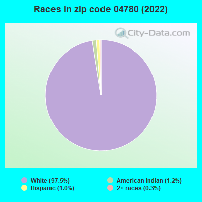 Races in zip code 04780 (2022)