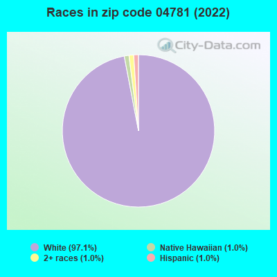Races in zip code 04781 (2022)