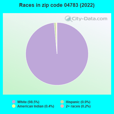 Races in zip code 04783 (2022)
