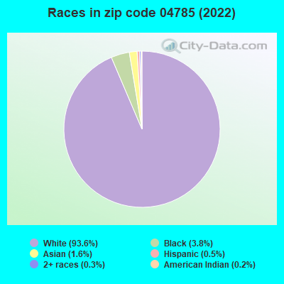Races in zip code 04785 (2022)