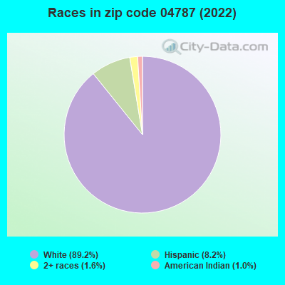 Races in zip code 04787 (2022)