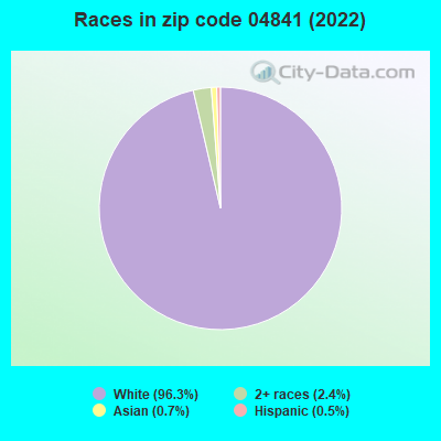 Races in zip code 04841 (2022)