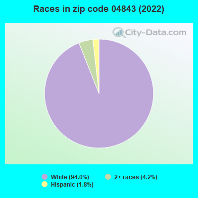 Races in zip code 04843 (2022)