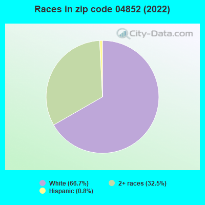 Races in zip code 04852 (2022)