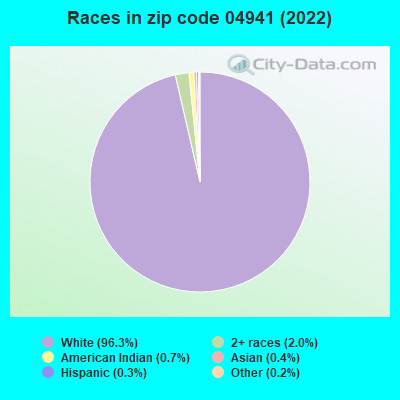 Races in zip code 04941 (2022)