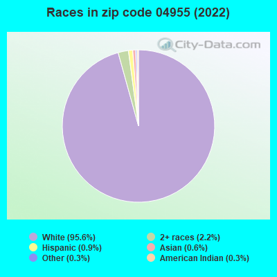 Races in zip code 04955 (2022)