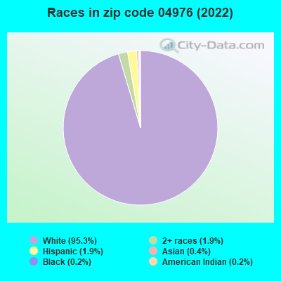 Races in zip code 04976 (2022)