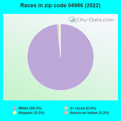 Races in zip code 04986 (2022)