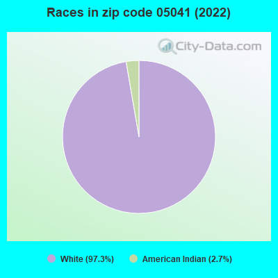 Races in zip code 05041 (2022)