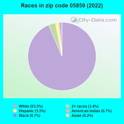 Races in zip code 05859 (2022)