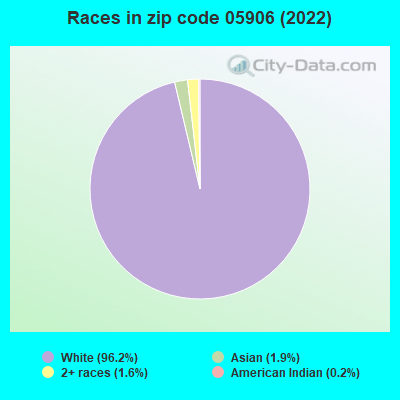 Races in zip code 05906 (2022)