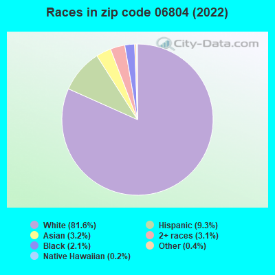Races in zip code 06804 (2022)