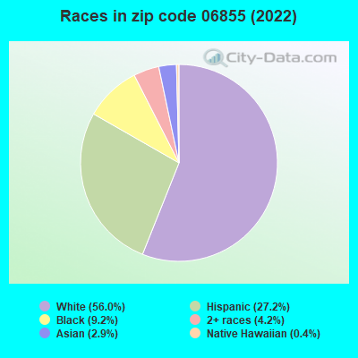 Races in zip code 06855 (2022)