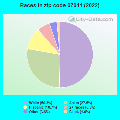 Races in zip code 07041 (2022)