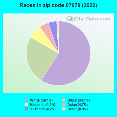 Races in zip code 07079 (2022)