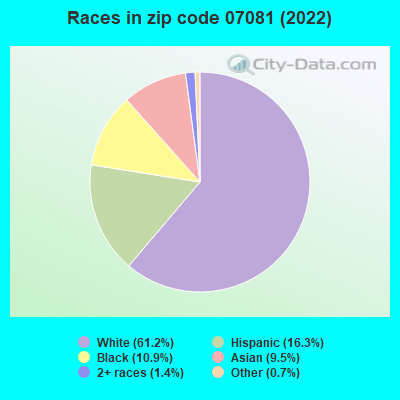Races in zip code 07081 (2022)