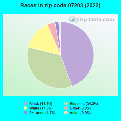 Races in zip code 07203 (2022)