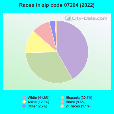 Races in zip code 07204 (2022)