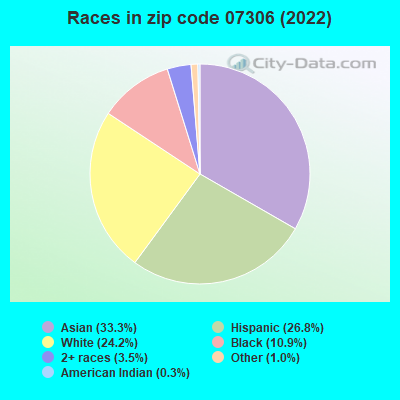 Races in zip code 07306 (2022)