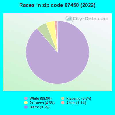 Races in zip code 07460 (2022)