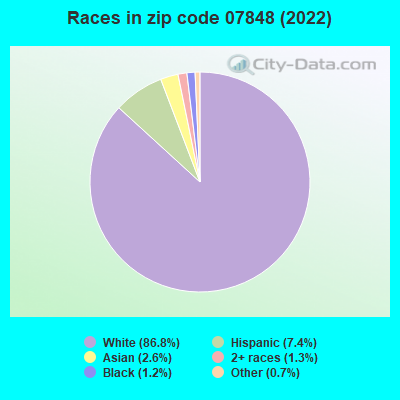 Races in zip code 07848 (2022)