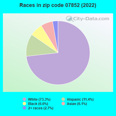 Races in zip code 07852 (2022)