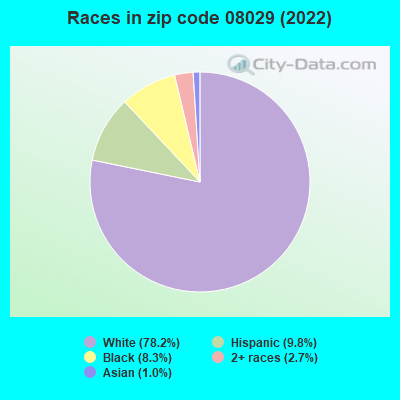 Races in zip code 08029 (2022)