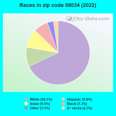 Races in zip code 08034 (2022)