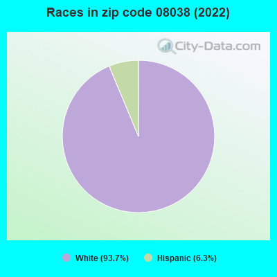 Races in zip code 08038 (2022)