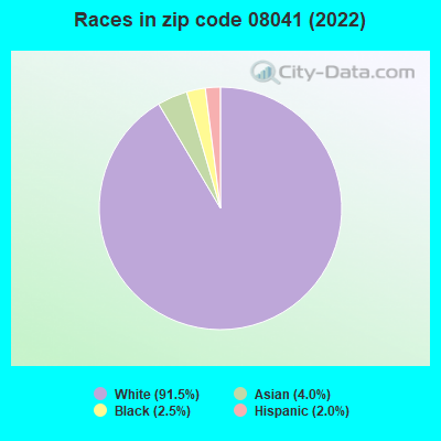 Races in zip code 08041 (2022)