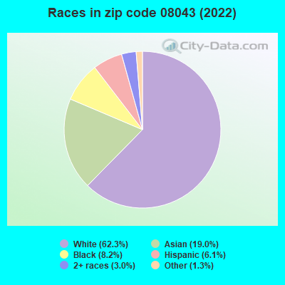 Races in zip code 08043 (2022)