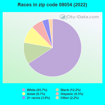 Races in zip code 08054 (2022)
