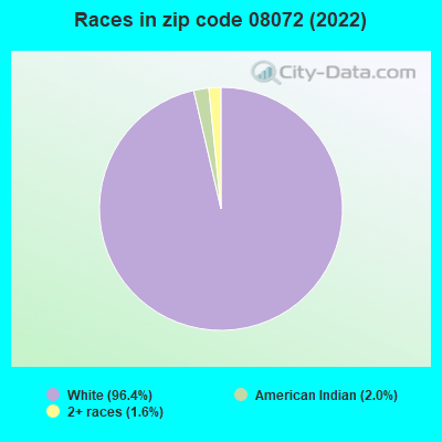 Races in zip code 08072 (2022)