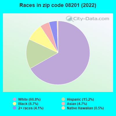 Races in zip code 08201 (2022)