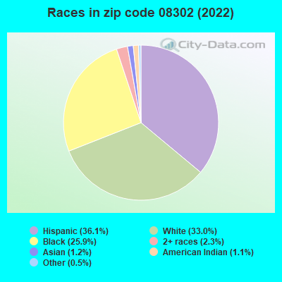 Races in zip code 08302 (2022)