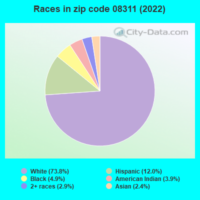 Races in zip code 08311 (2022)
