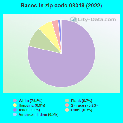 Races in zip code 08318 (2022)