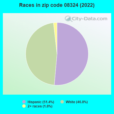 Races in zip code 08324 (2022)