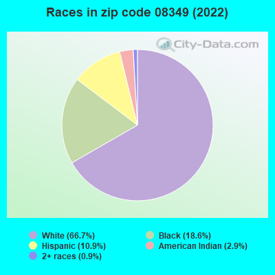 Races in zip code 08349 (2022)