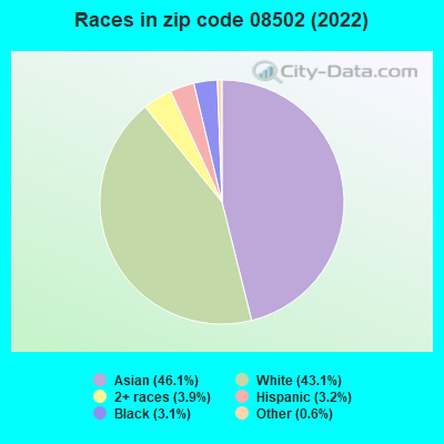 Races in zip code 08502 (2022)